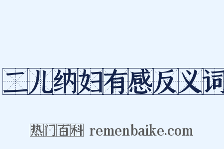 二儿纳妇有感反义词是什么意思的图片
